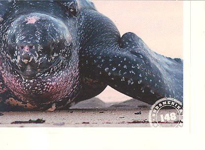 Edeka WWF Reisetagebuch 2012 - Nr. 148