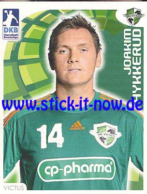 DKB Handball Bundesliga Sticker 16/17 - Nr. 174