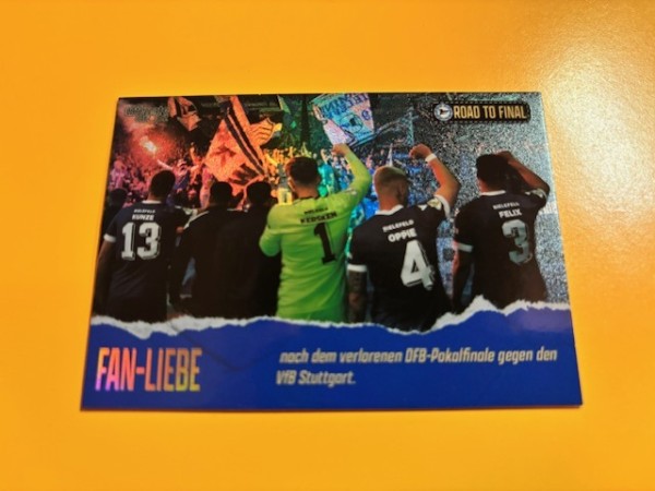 This is Arminia (2025) - Moments - Fan-Liebe