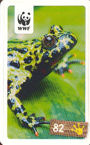 Rewe WWF Tier-Abenteuer 2011 - Nr. 82