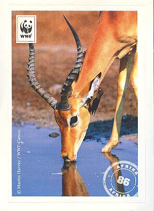 Edeka WWF Reisetagebuch 2012 - Nr. 86