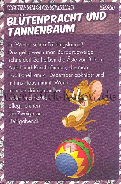 Tom & Jerry / Verrückter Weihnachtsspass (2015) - Nr. 20