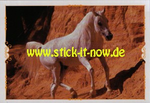 Pferde "Reise durch die Welt der Farben" (2020) - Nr. 83