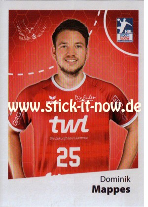 LIQUE MOLY Handball Bundesliga Sticker 19/20 - Nr. 34