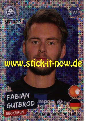 LIQUI MOLY Handball Bundesliga "Sticker" 20/21 - Nr. 207 (Glitzer)