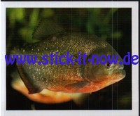 Zoo Osnabrück "Tierische Momente" - Nr. 41