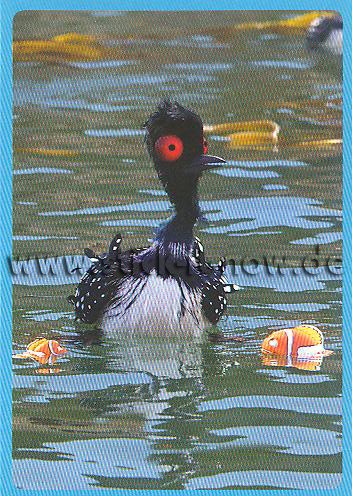 Disney "Findet Dorie" Sticker (2016) - Nr. 90