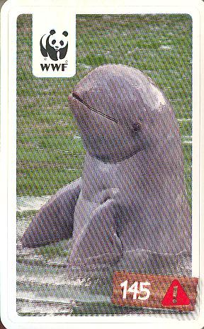 Rewe WWF Tier-Abenteuer 2011 - Nr. 145