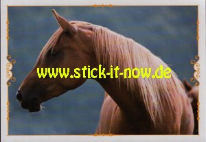 Pferde "Reise durch die Welt der Farben" (2020) - Nr. 75