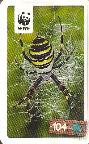 Rewe WWF Tier-Abenteuer 2011 - Nr. 104