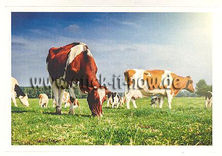 Rewe - Disney & WAS ist WAS - Abenteuer Tierwelt - Nr. 10