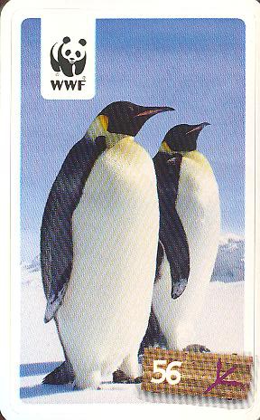 Rewe WWF Tier-Abenteuer 2011 - Nr. 56