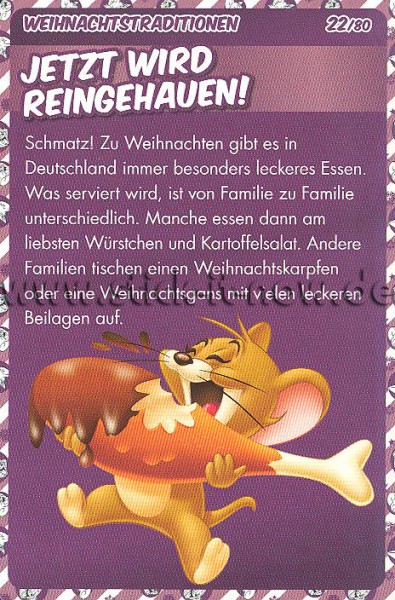 Tom & Jerry / Verrückter Weihnachtsspass (2015) - Nr. 22