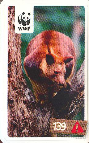 Rewe WWF Tier-Abenteuer 2011 - Nr. 139
