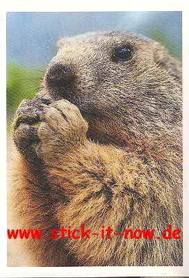 Rewe / Penny &quot;Unser Deutschland&quot; (2013) - Nr. 7