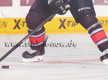 ICE Tigers Nürnberg - Sticker - 15/16 - Nr. 82