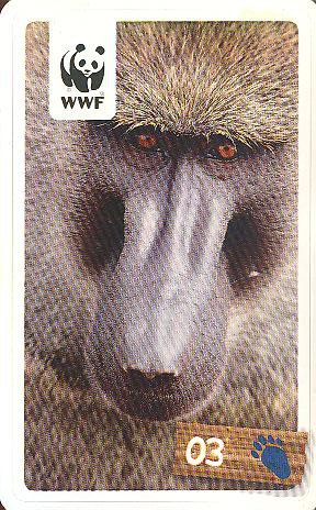 Rewe WWF Tier-Abenteuer 2011 - Nr. 3