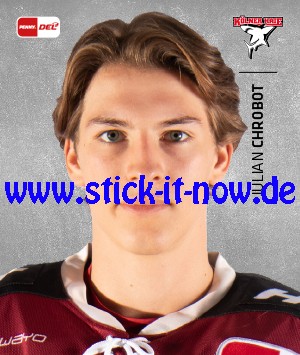 Penny DEL - Deutsche Eishockey Liga 20/21 "Sticker" - Nr. 179