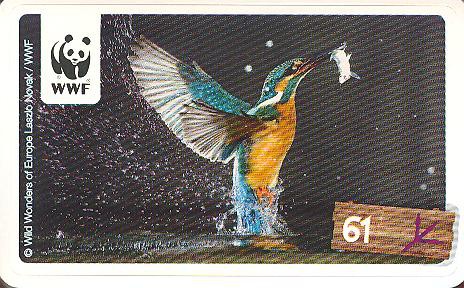 Rewe WWF Tier-Abenteuer 2011 - Nr. 61
