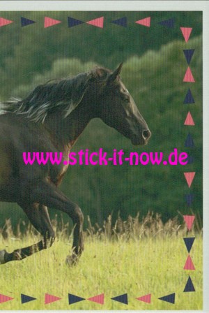 Ostwind 4 "Aris Ankunft" (2019) - Nr. 78