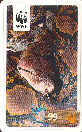 Rewe WWF Tier-Abenteuer 2011 - Nr. 99