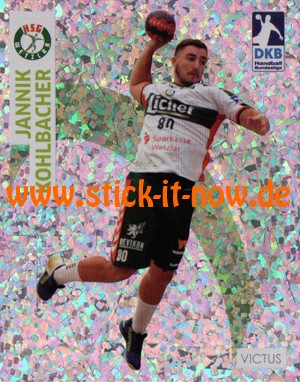 DKB Handball Bundesliga Sticker 17/18 - Nr. 113 (GLITZER)