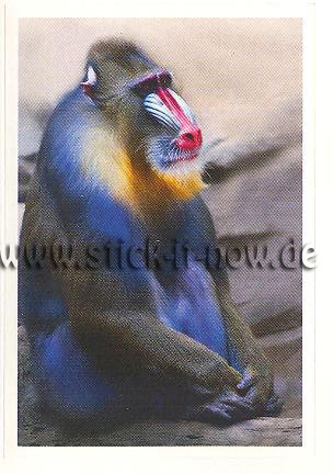 Rewe - Disney & WAS ist WAS - Abenteuer Tierwelt - Nr. 117