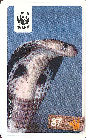 Rewe WWF Tier-Abenteuer 2011 - Nr. 87