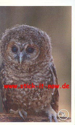 Edeka WWF Unser Wald 2013 - Nr. 36