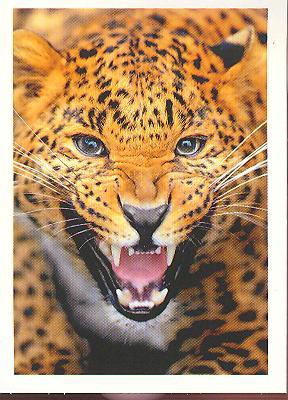 Rewe Unsere Erde ( 2012 ) - Nr. 99