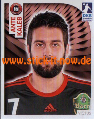 DKB Handball Bundesliga Sticker 17/18 - Nr. 339