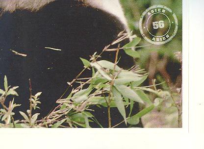 Edeka WWF Reisetagebuch 2012 - Nr. 56