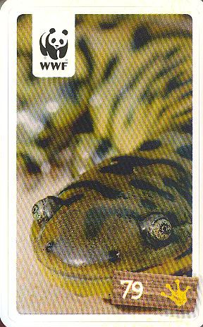 Rewe WWF Tier-Abenteuer 2011 - Nr. 79