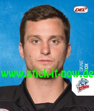 DEL - Deutsche Eishockey Liga 18/19 "Sticker" - Nr. 289