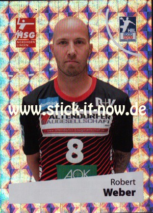 LIQUE MOLY Handball Bundesliga Sticker 19/20 - Nr. 155 (Glitzer)