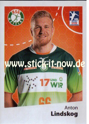 LIQUE MOLY Handball Bundesliga Sticker 19/20 - Nr. 193