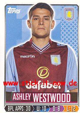 Topps Fußball Premier League 2014 Sticker - Nr. 31