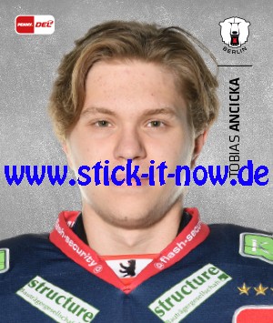 Penny DEL - Deutsche Eishockey Liga 20/21 "Sticker" - Nr. 31