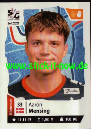 LIQUI MOLY Handball Bundesliga "Sticker" 21/22 - Nr. 29