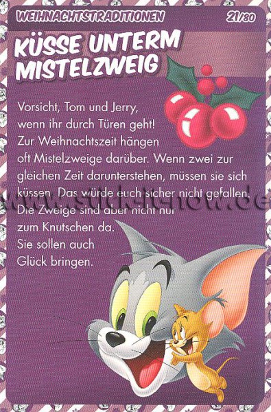 Tom & Jerry / Verrückter Weihnachtsspass (2015) - Nr. 21