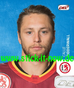 DEL - Deutsche Eishockey Liga 18/19 "Sticker" - Nr. 94