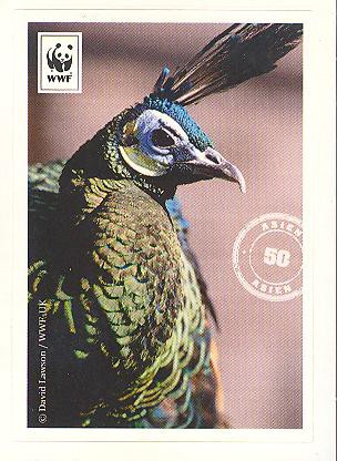 Edeka WWF Reisetagebuch 2012 - Nr. 50