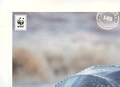 Edeka WWF Reisetagebuch 2012 - Nr. 145