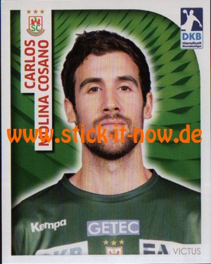 DKB Handball Bundesliga Sticker 17/18 - Nr. 100