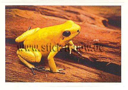 Rewe - Disney & WAS ist WAS - Abenteuer Tierwelt - Nr. 33