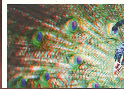 Rewe Unsere Erde ( 2012 ) - Nr. 153