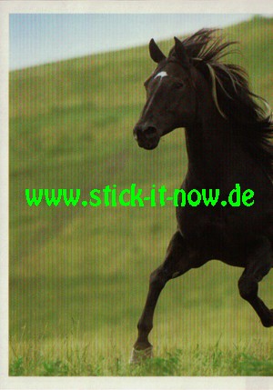 Ostwind "Das große Finale" (2021) - Nr. 26