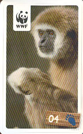 Rewe WWF Tier-Abenteuer 2011 - Nr. 4