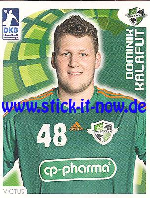 DKB Handball Bundesliga Sticker 16/17 - Nr. 176