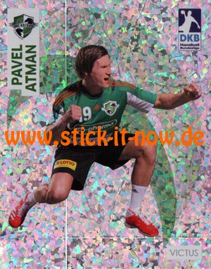 DKB Handball Bundesliga Sticker 17/18 - Nr. 235 (GLITZER)